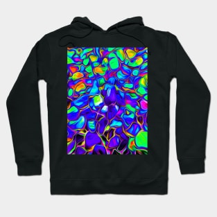 Painted Rocks Hoodie